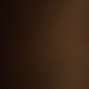 Meet your Posher, Tanner